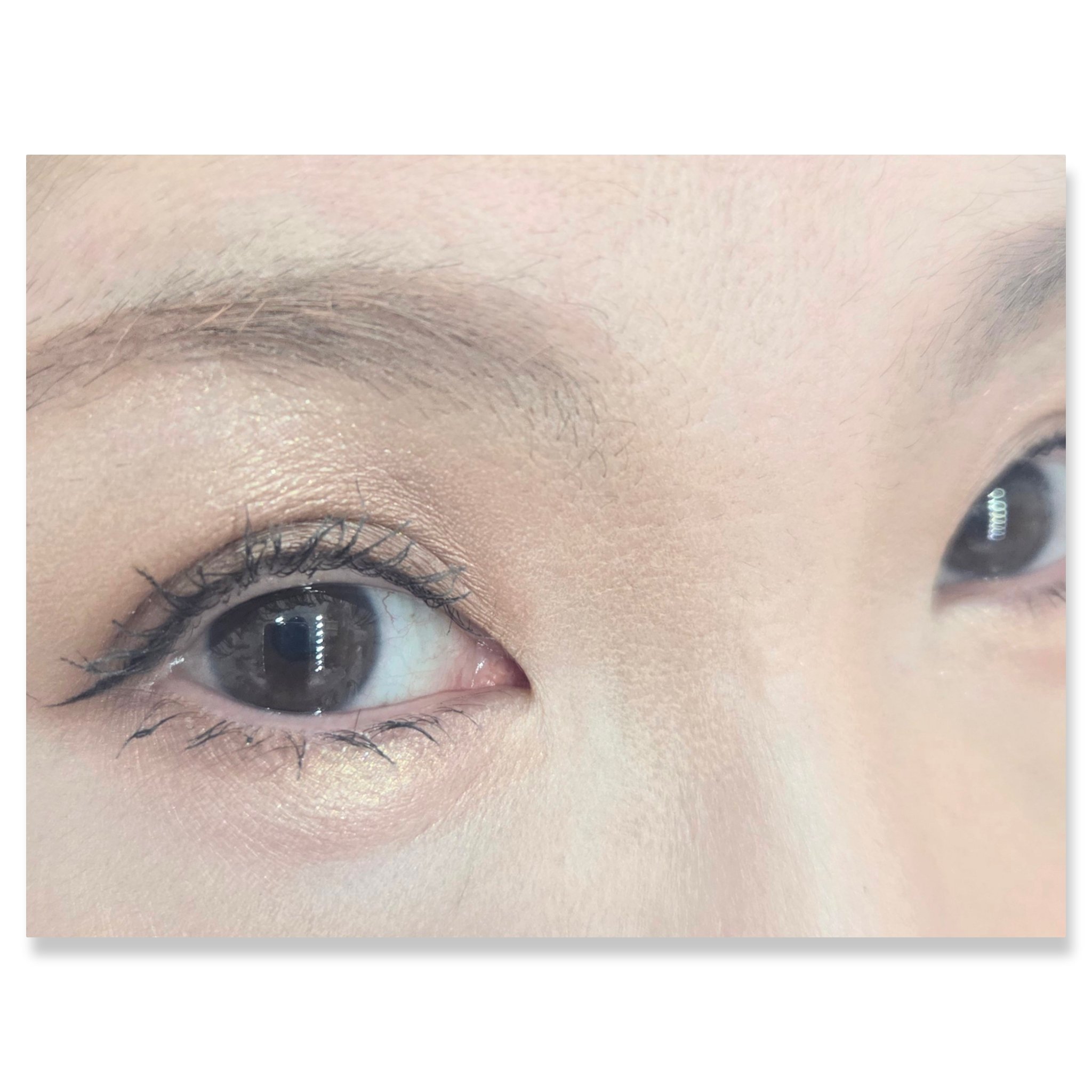 アイパレット/sopo/アイシャドウパレットを使ったクチコミ（2枚目）