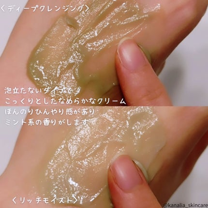 スパタイム クリームシャンプー (リッチモイスト)/Spa time/市販シャンプーを使ったクチコミ(2枚目)