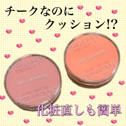 アーティストクッションブラッシュ/JUNG SAEM MOOL/リキッドチークを使ったクチコミ(1枚目)