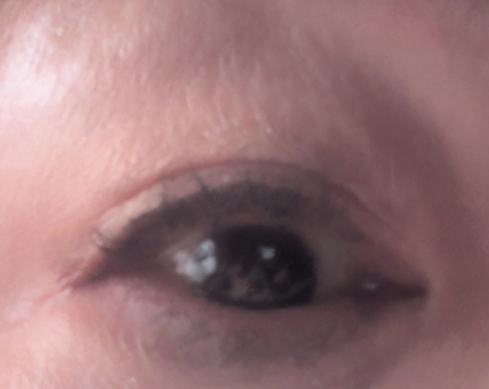 ケイト ラッシュバースト/KATE/マスカラを使ったクチコミ（2枚目）