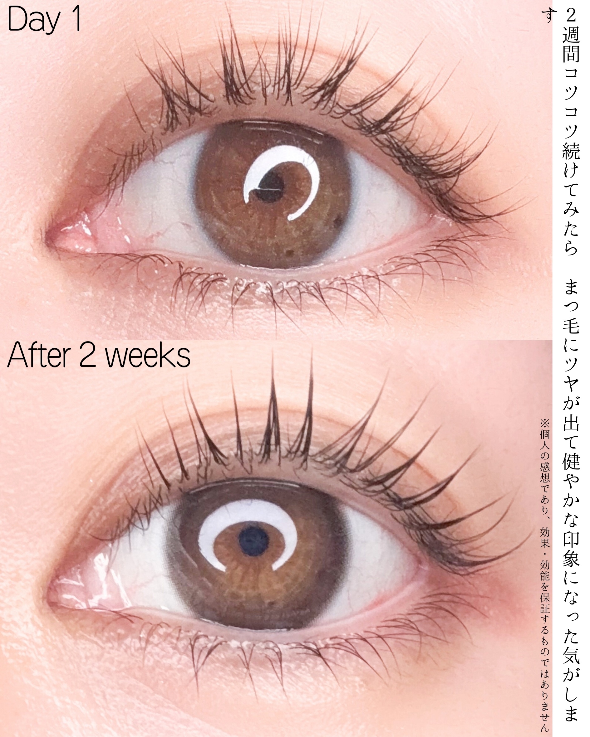 ロングアクティブアイラッシュセラム/COSNORI/まつげ美容液を使ったクチコミ（3枚目）