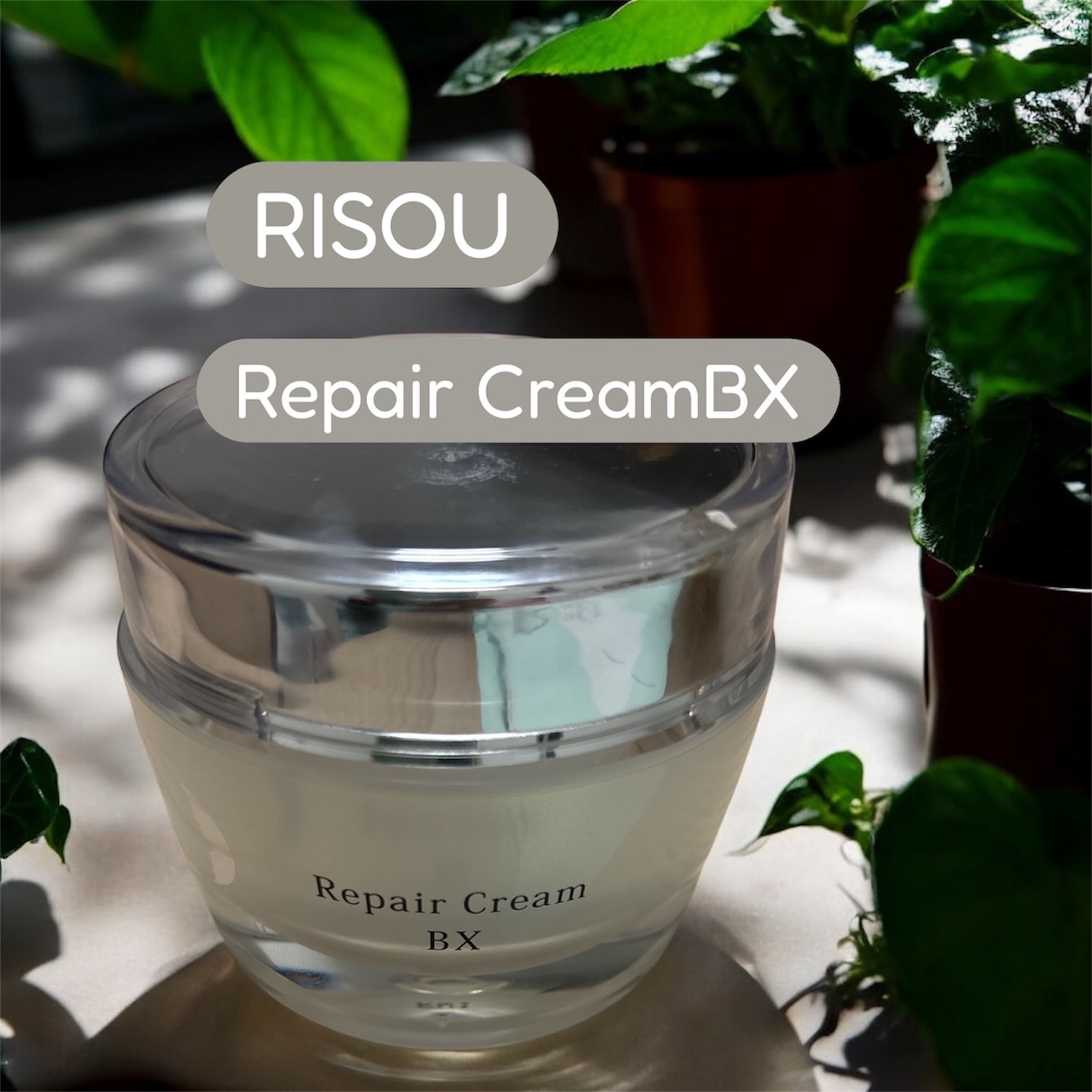 リソウ リペアクリーム BX/リソウコーポレーション/フェイスクリームを使ったクチコミ（1枚目）