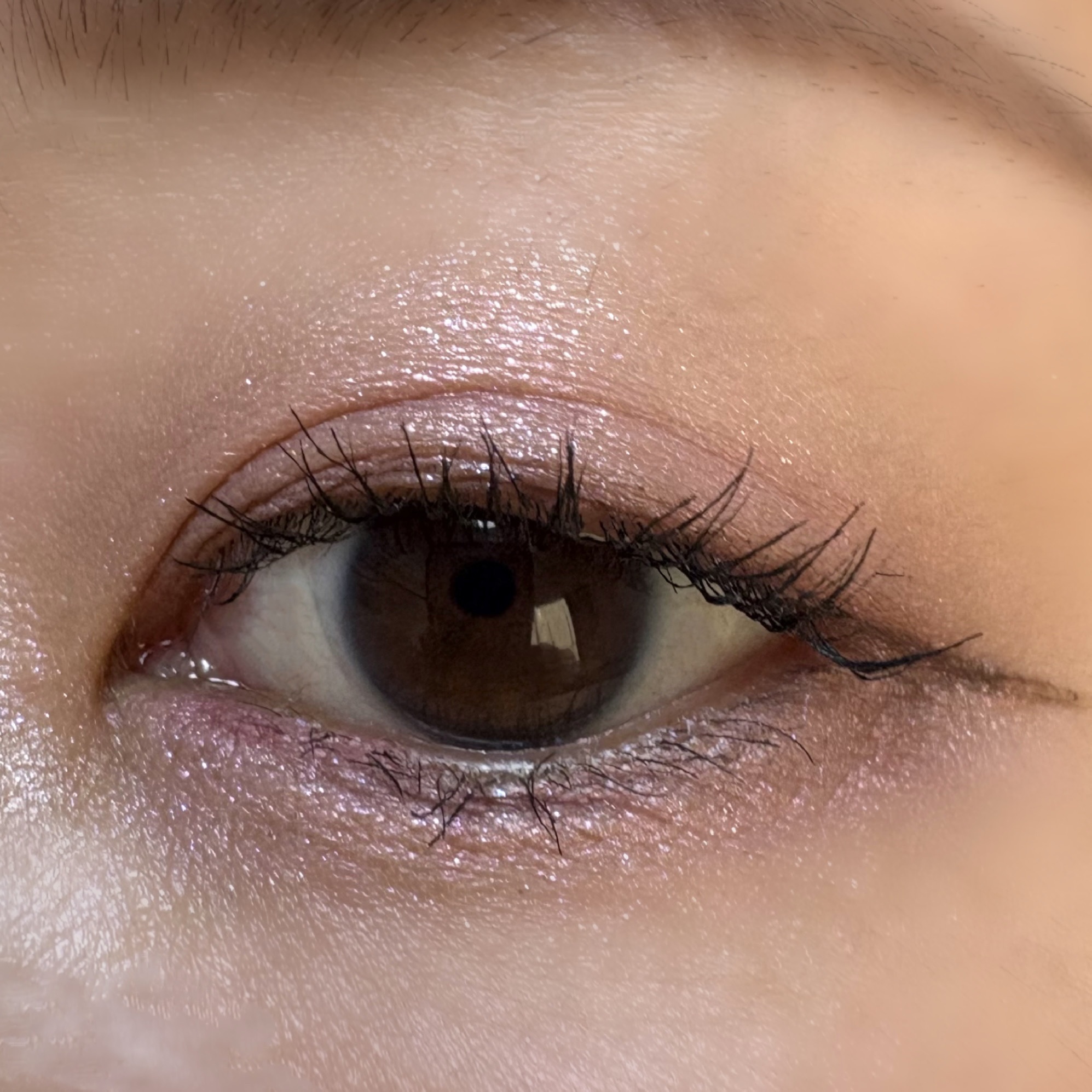 エテュセ カラーパレット スペシャル エディション/ettusais/アイシャドウパレットを使ったクチコミ（3枚目）