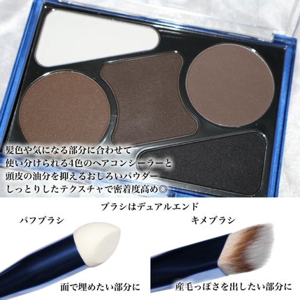 アーティストライン ヘアコンシーラーパレット/odiD/その他スタイリングを使ったクチコミ(2枚目)