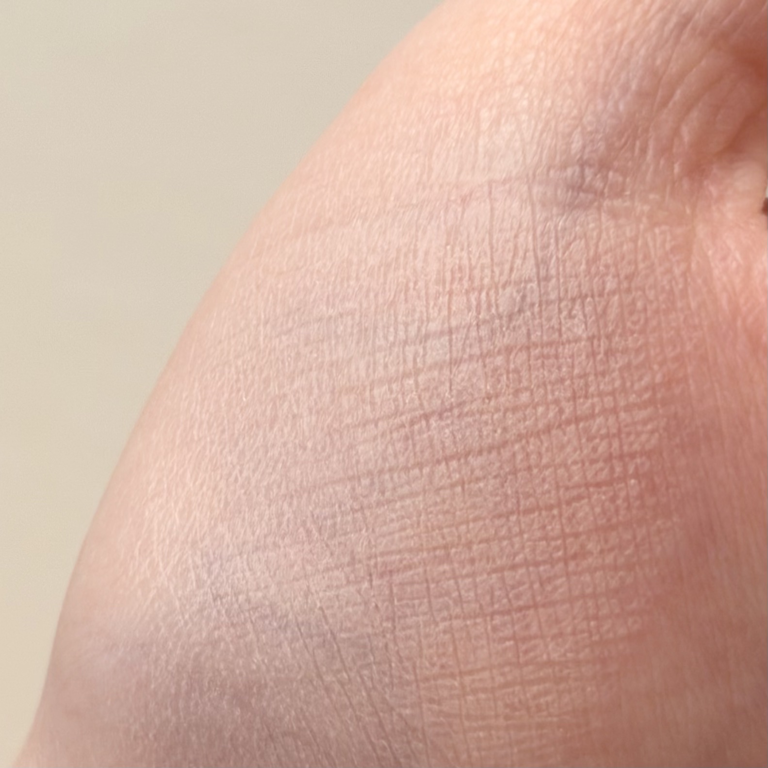 ブラーフィニシュブラッシャー/Dinto/パウダーチークを使ったクチコミ（3枚目）