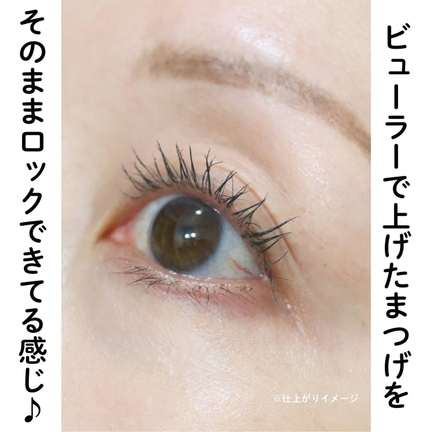 カールロックマスカラベース N/D-UP/マスカラ下地を使ったクチコミ（2枚目）