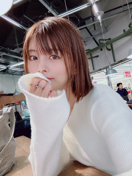 スムースシャインドライヤー/SALONIA/ドライヤーを使ったクチコミ(1枚目)