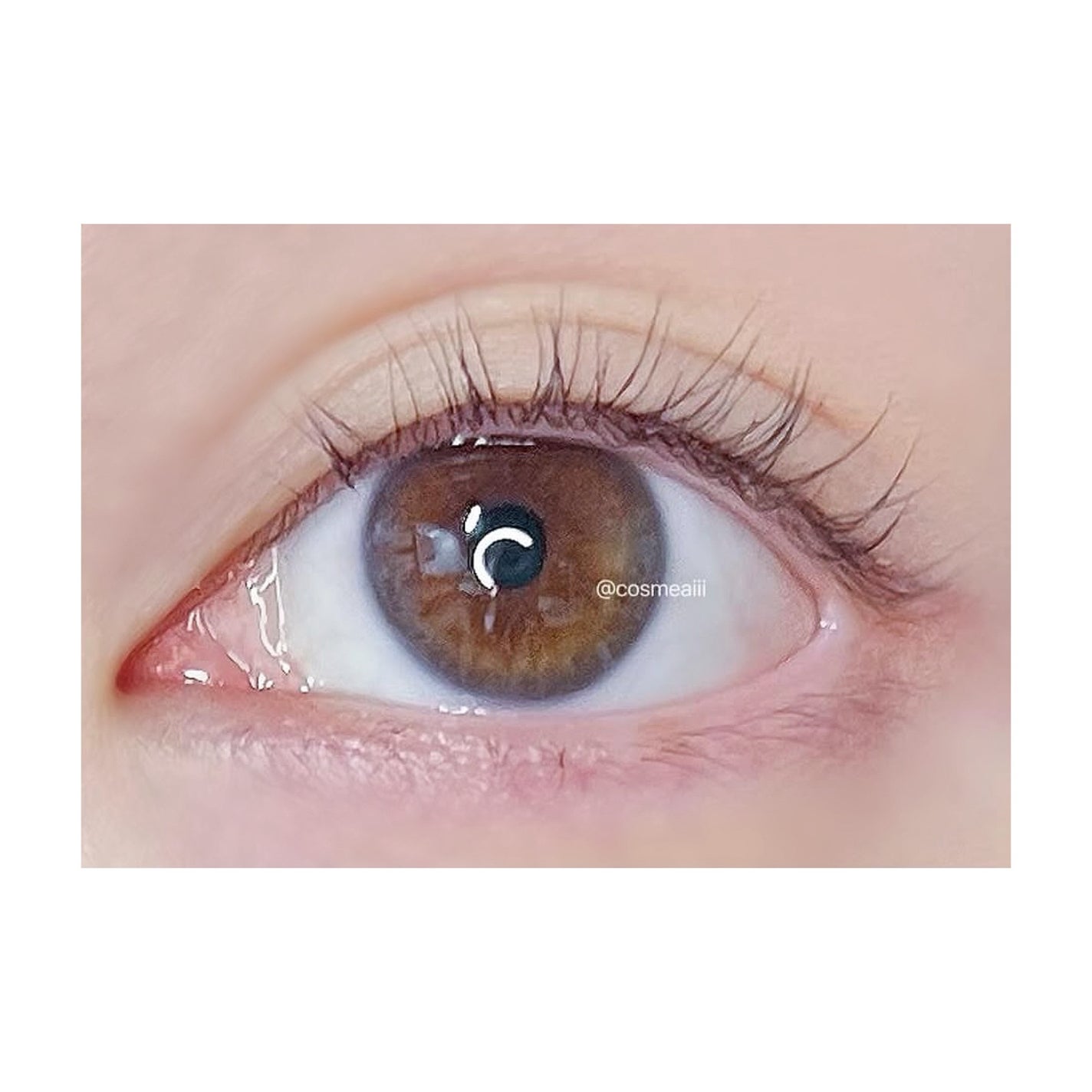 マスカラカラーフィクサー/Joliyen/眉マスカラを使ったクチコミ(5枚目)