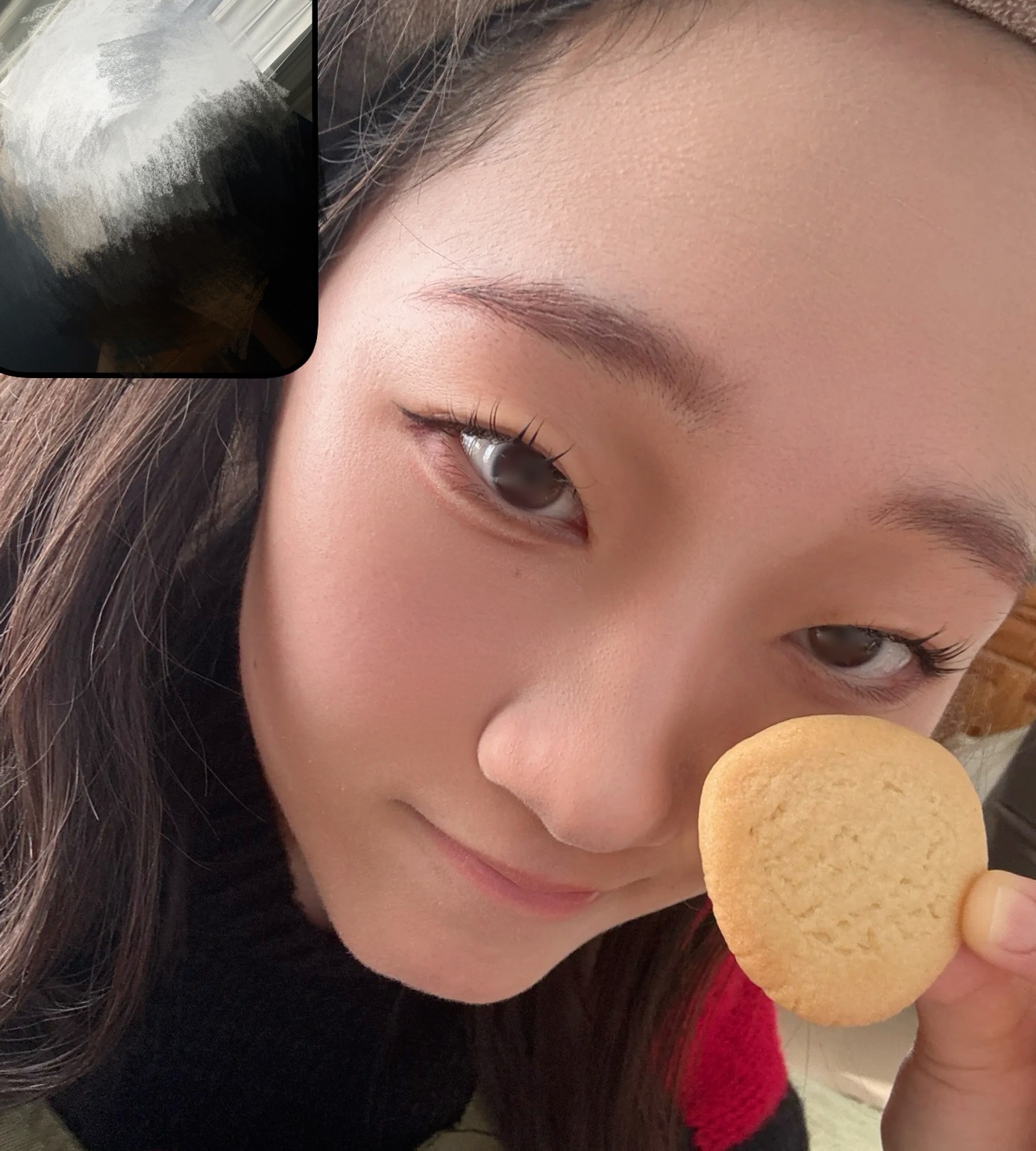 ナチュラル チークN/CEZANNE/パウダーチークを使ったクチコミ（1枚目）