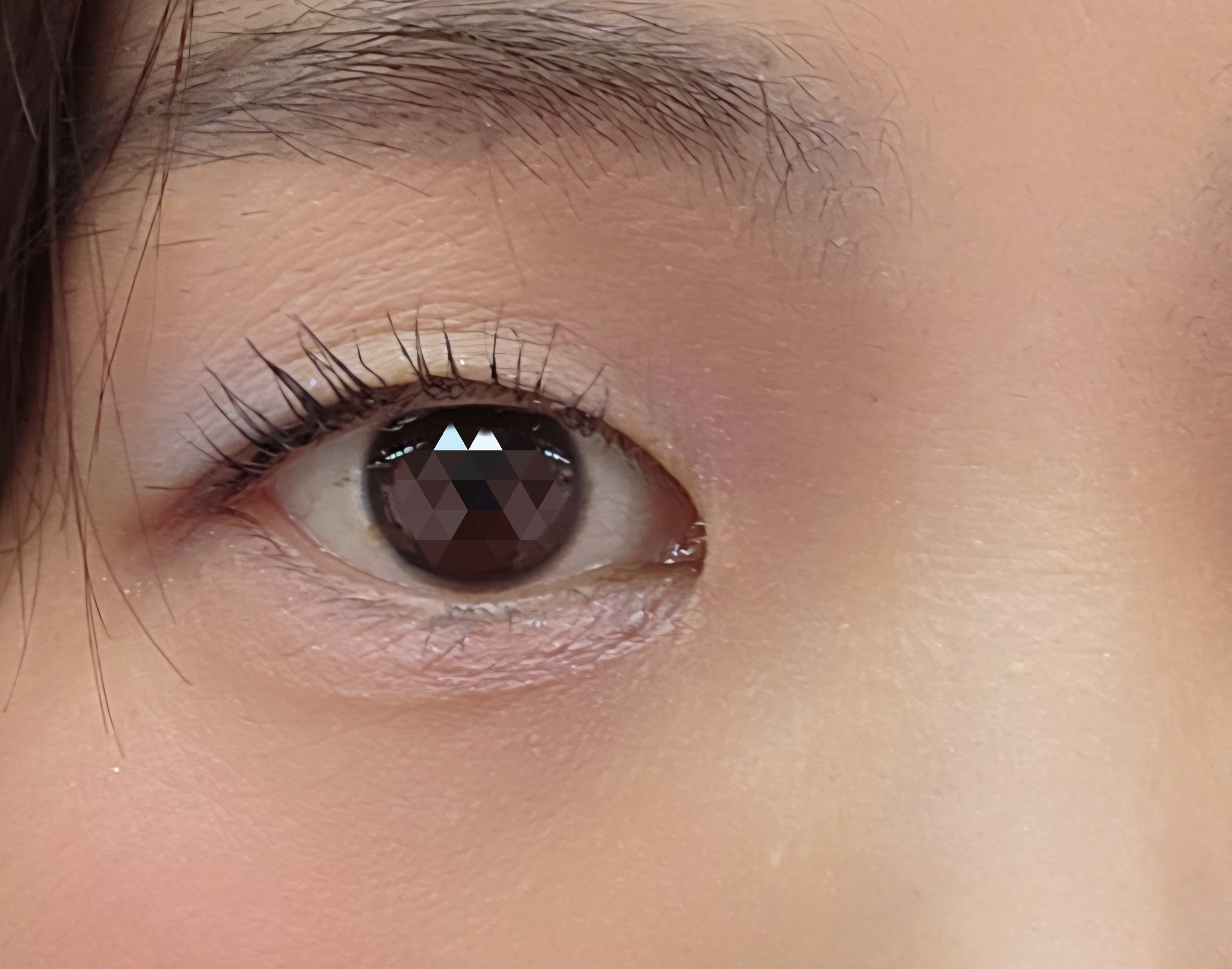 エクスプローラ12色 動物アイシャドウパレット/PERFECT DIARY/アイシャドウパレットを使ったクチコミ（3枚目）