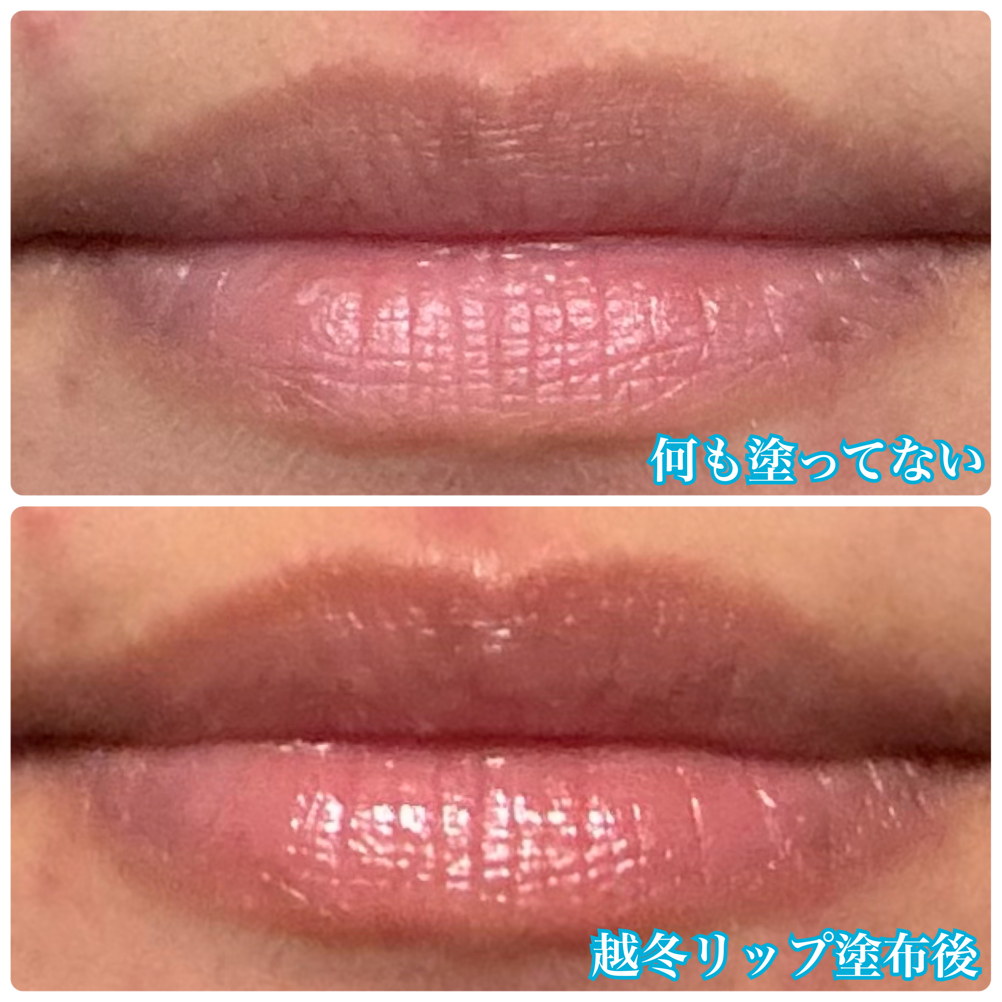 越冬リップ/ビーハニー/リップクリームを使ったクチコミ（2枚目）