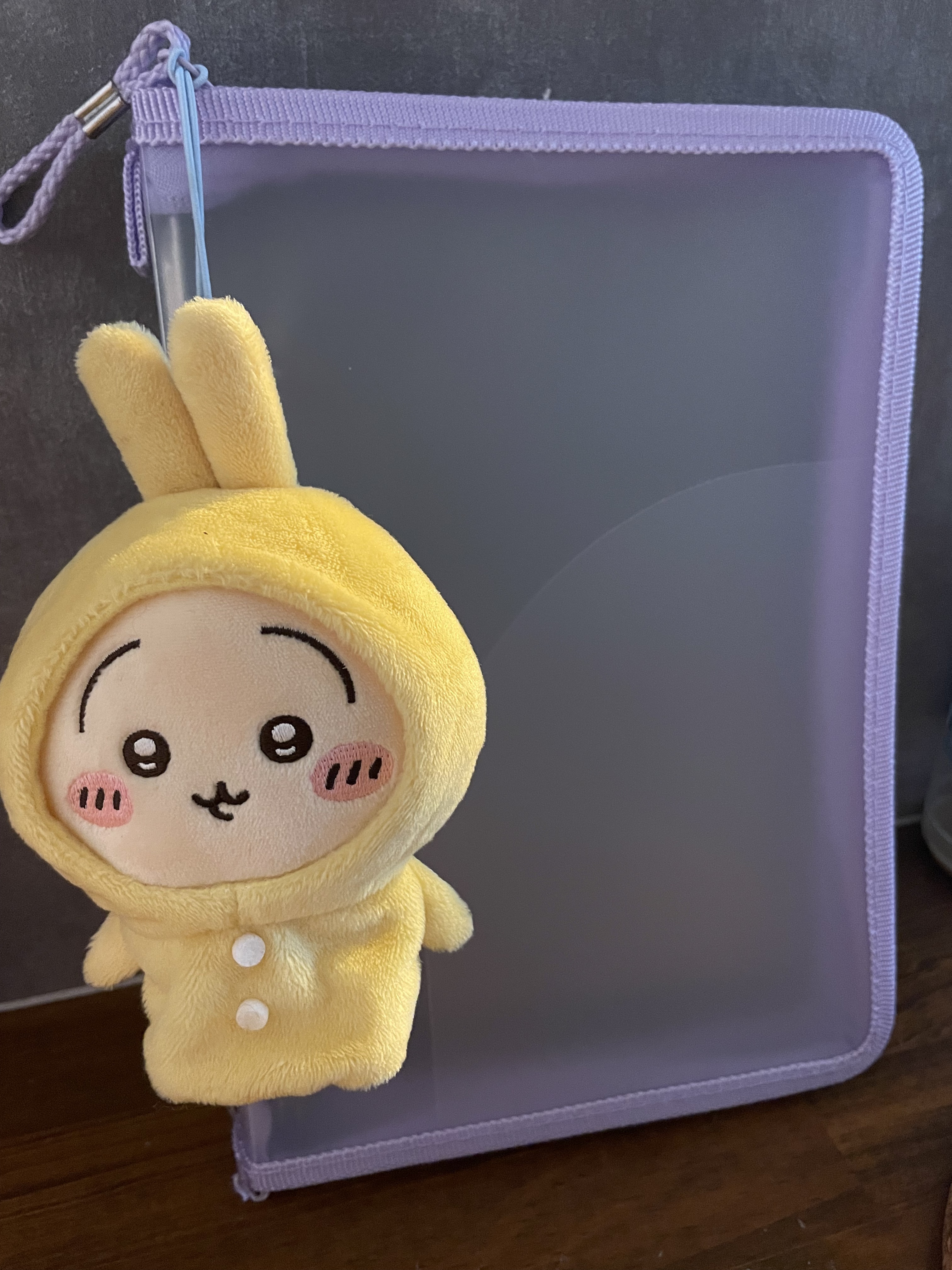 ダイソーバインダー/DAISO/その他を使ったクチコミ（1枚目）