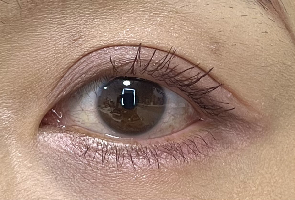 ラッシュエキスパンダー 孔雀ロング/MAJOLICA MAJORCA/マスカラを使ったクチコミ（3枚目）