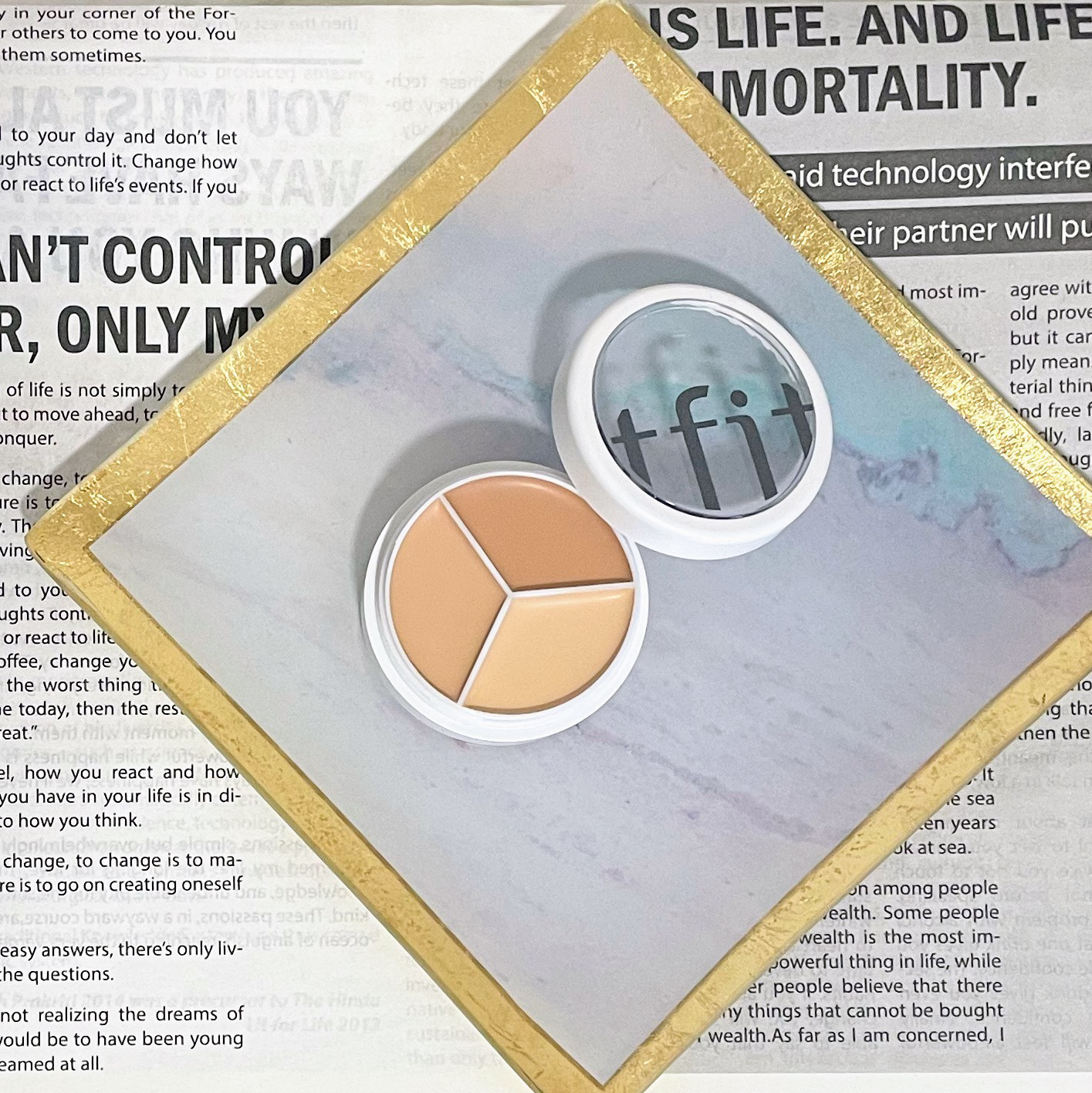 カバーアッププロコンシーラー/TFIT/パレットコンシーラーを使ったクチコミ（2枚目）