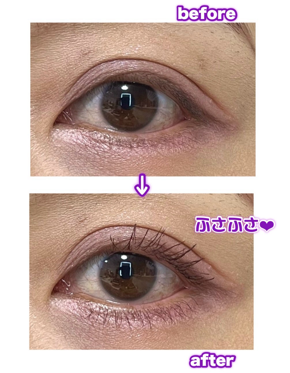 ラッシュエキスパンダー 孔雀ロング/MAJOLICA MAJORCA/マスカラを使ったクチコミ(2枚目)