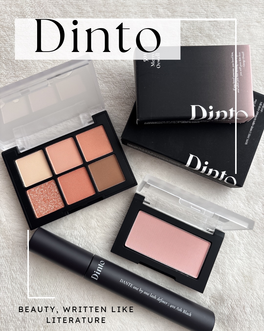 ブラーフィニシュシャドウパレット/Dinto/アイシャドウパレットを使ったクチコミ（1枚目）