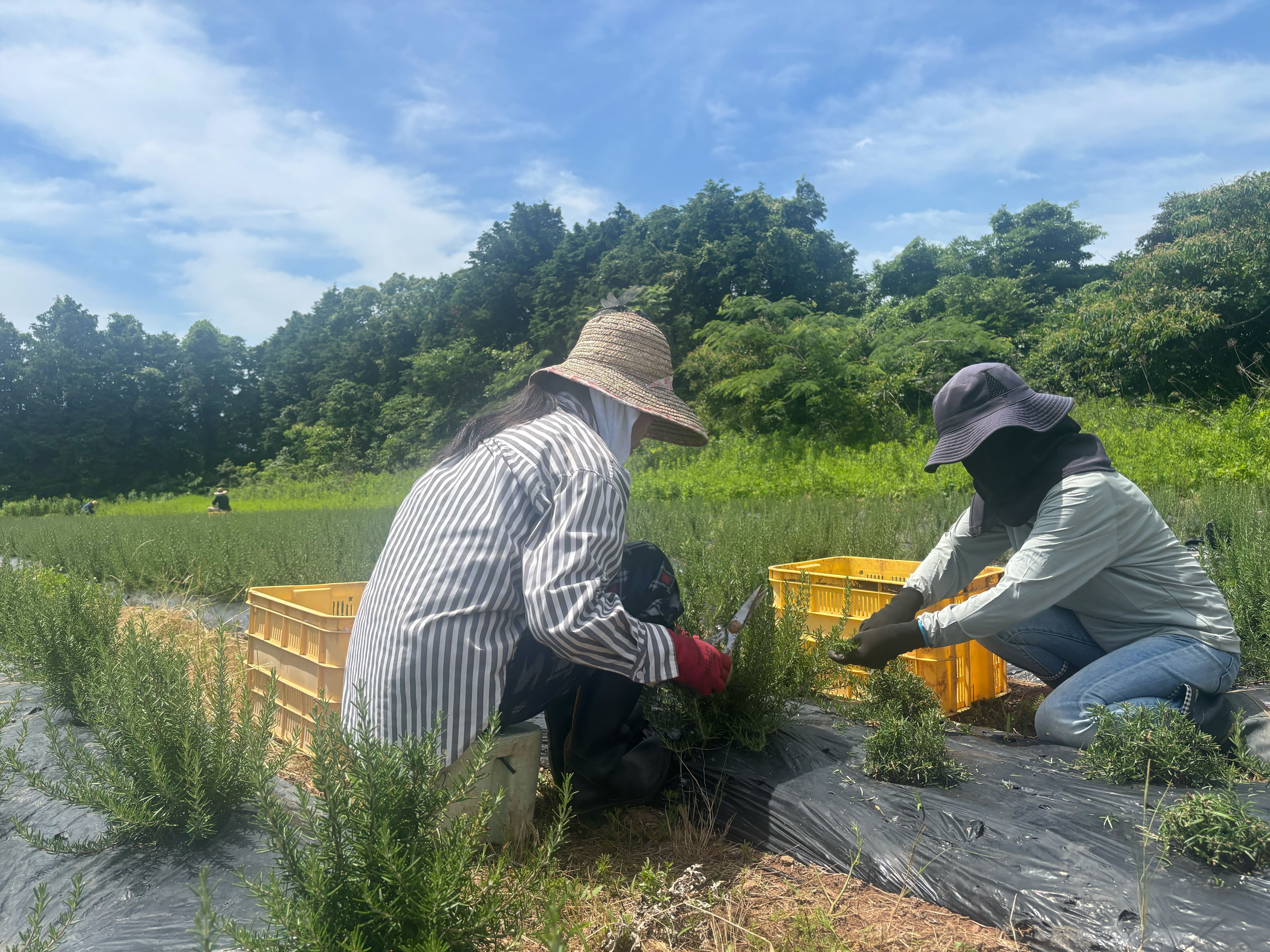 日本版コスメティックバレー？“日本一コスメビジネスがしやすい都市”を目指す佐賀県の挑戦の画像