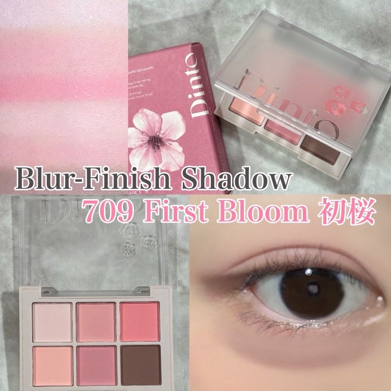 ブラーフィニシュシャドウパレット/Dinto/アイシャドウパレットを使ったクチコミ(2枚目)