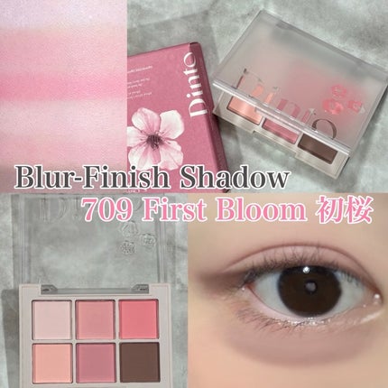 ブラーフィニシュブラッシャー/Dinto/パウダーチークを使ったクチコミ(2枚目)