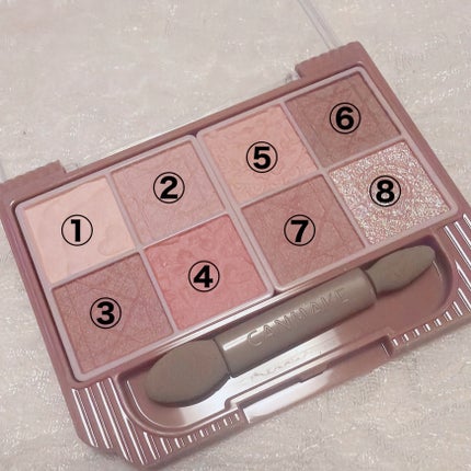 プティパレットアイズ(マットタイプ)/キャンメイク/パウダーアイシャドウを使ったクチコミ(2枚目)