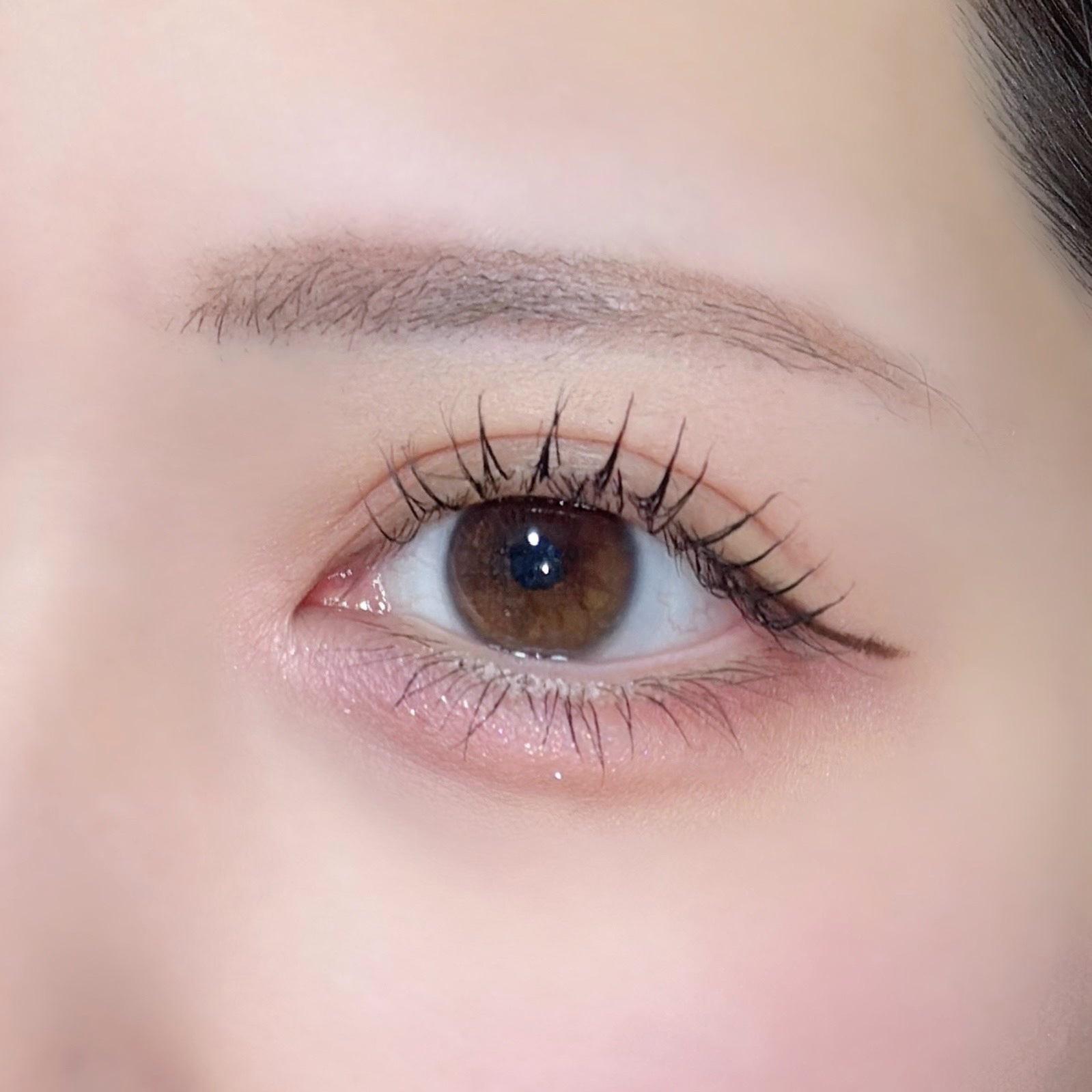 プランぷくコーデアイズ/キャンメイク/パウダーアイシャドウを使ったクチコミ（3枚目）