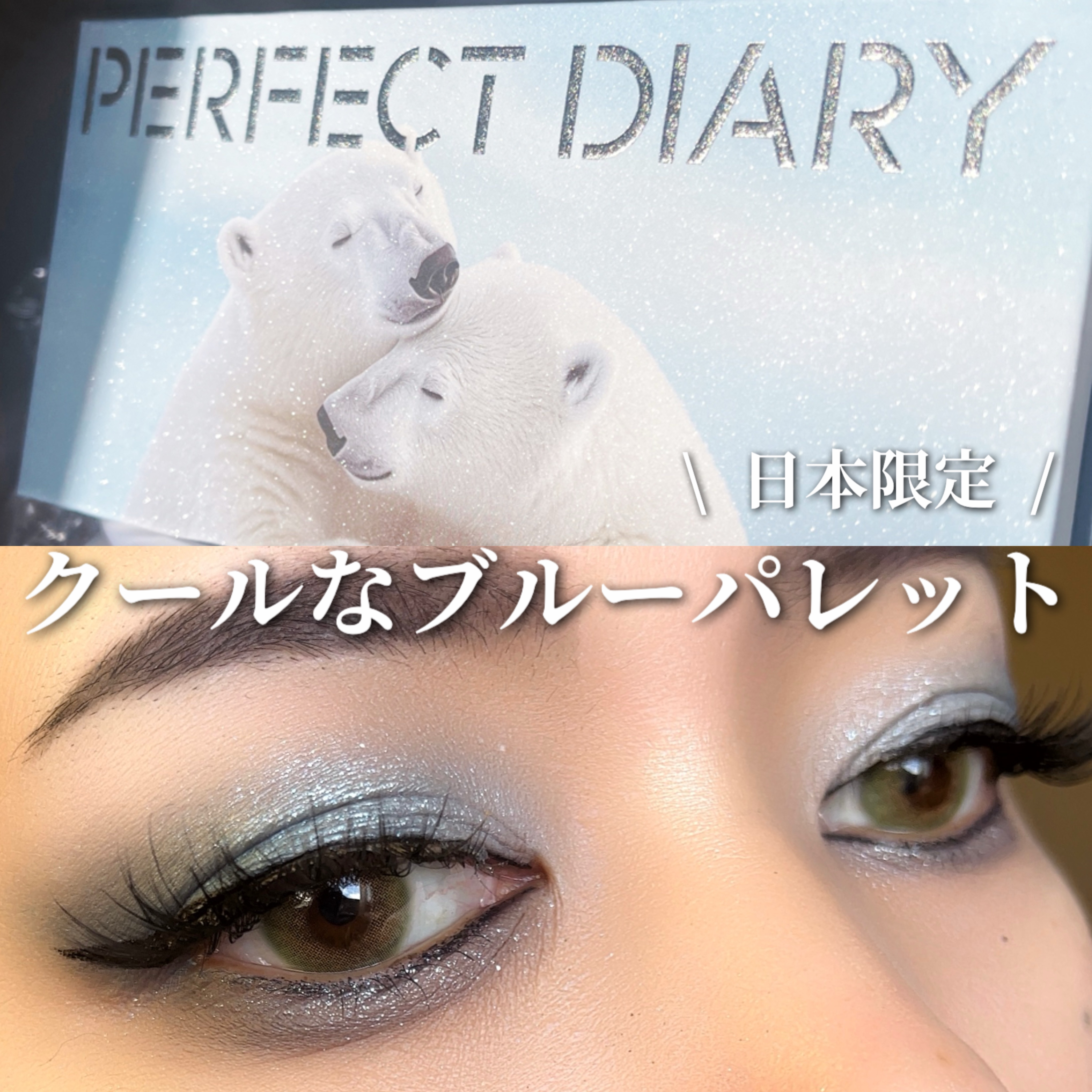 エクスプローラ12色 動物アイシャドウパレット/PERFECT DIARY/アイシャドウパレットを使ったクチコミ（1枚目）