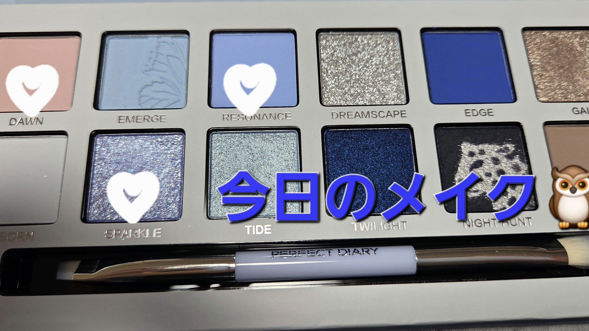 エクスプローラ12色 動物アイシャドウパレット/PERFECT DIARY/アイシャドウパレットを使ったクチコミ（1枚目）