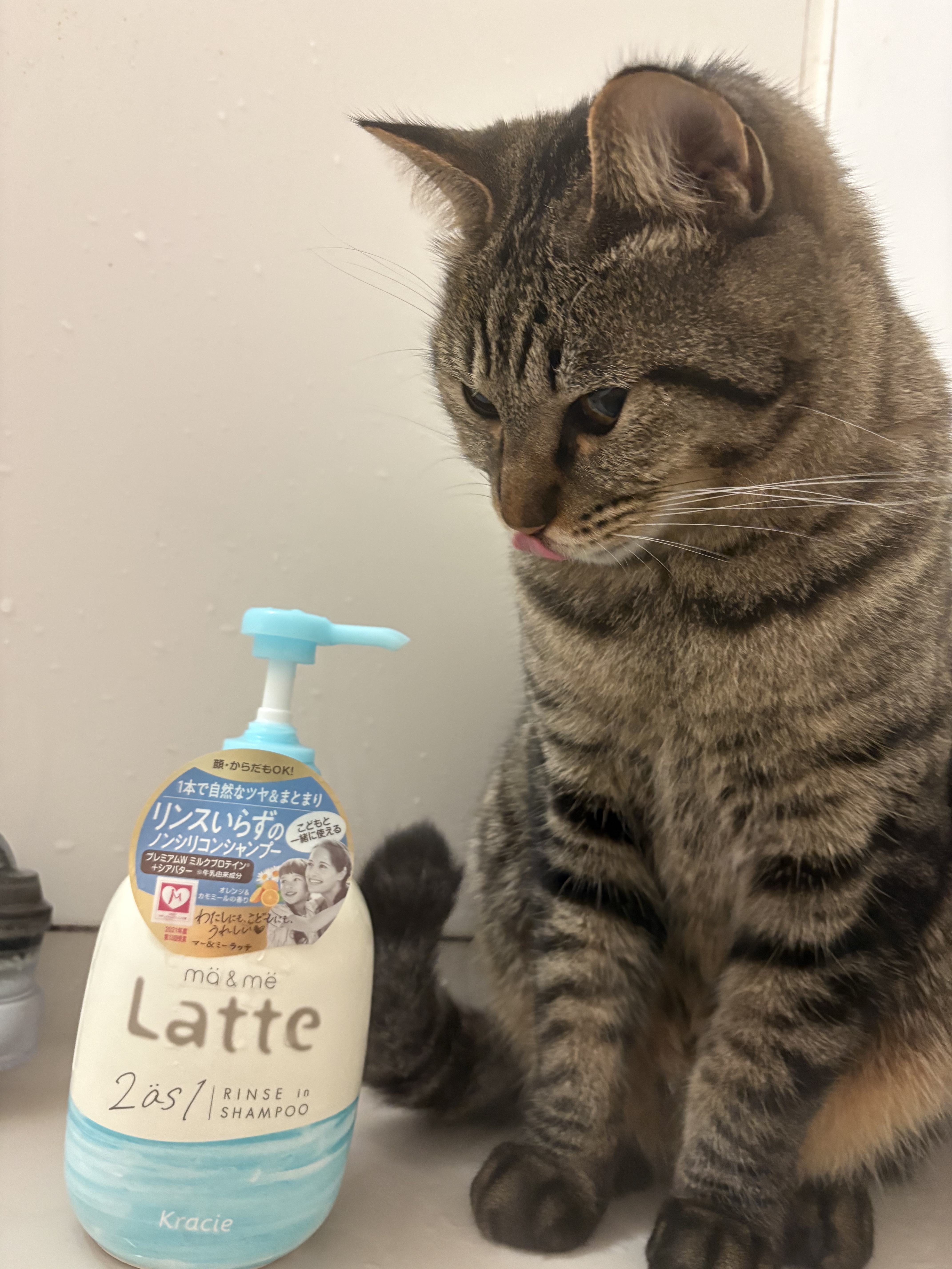マー＆ミー リンスインシャンプー/マー＆ミー　ラッテ/市販シャンプーを使ったクチコミ（1枚目）