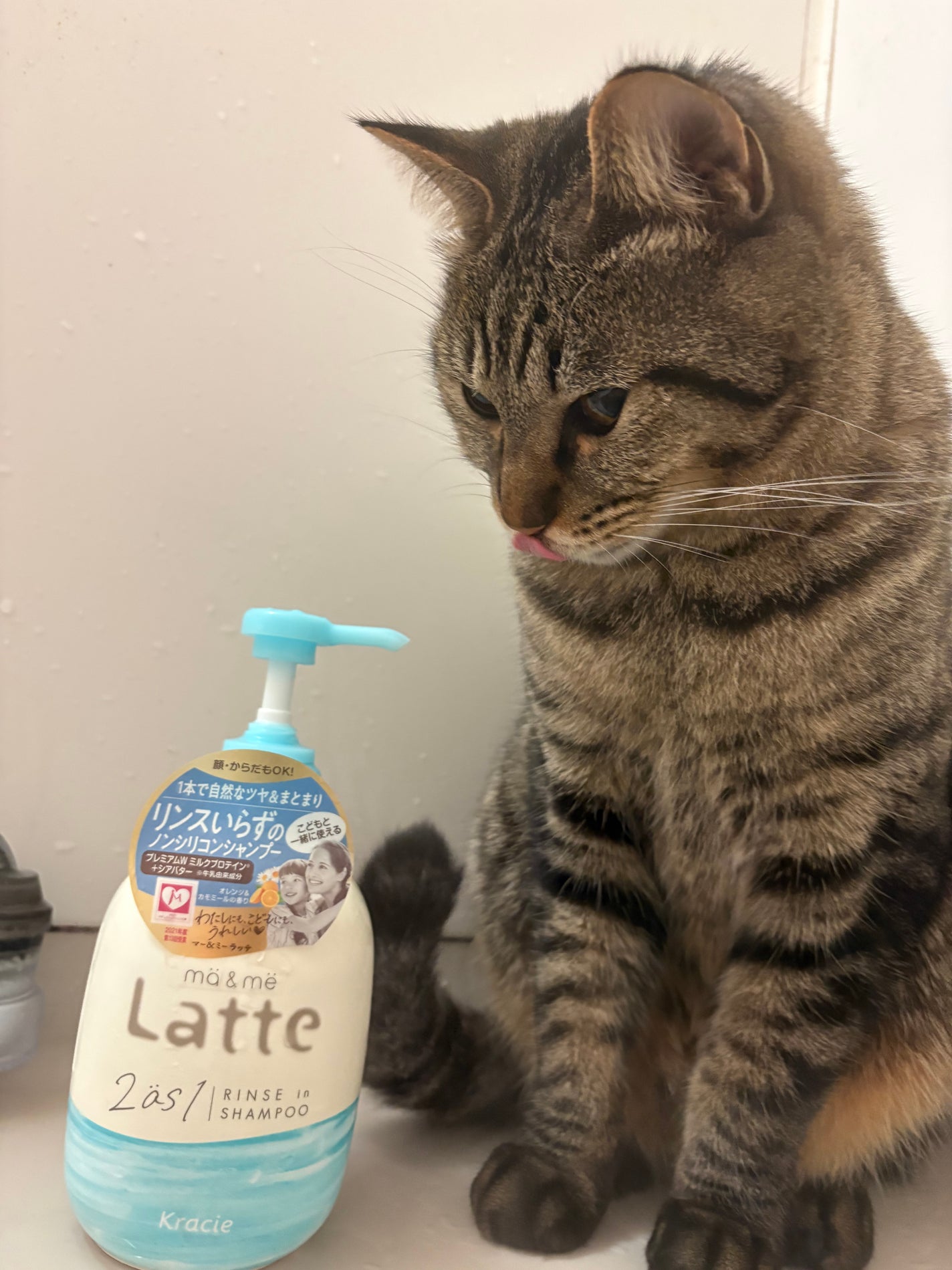 マー&ミー リンスインシャンプー/マー&ミー ラッテ/市販シャンプーを使ったクチコミ(1枚目)