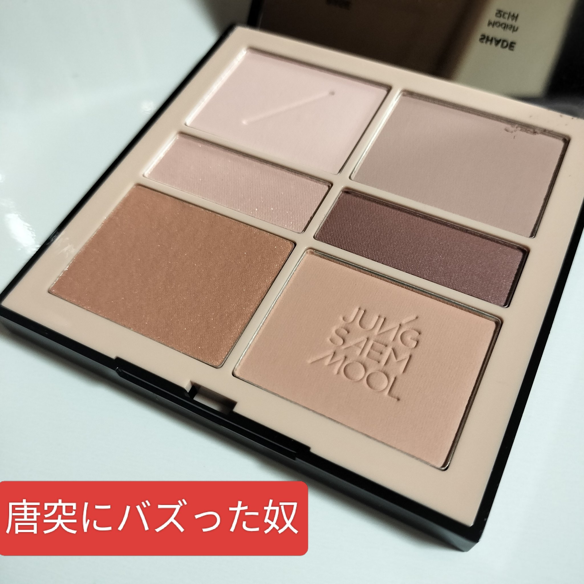 アーティストアイパレット/JUNG SAEM MOOL/アイシャドウパレットを使ったクチコミ（1枚目）