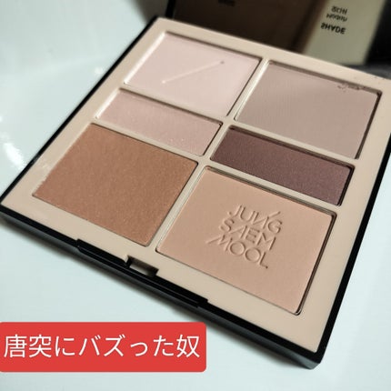 アーティストアイパレット/JUNG SAEM MOOL/アイシャドウパレットを使ったクチコミ(1枚目)