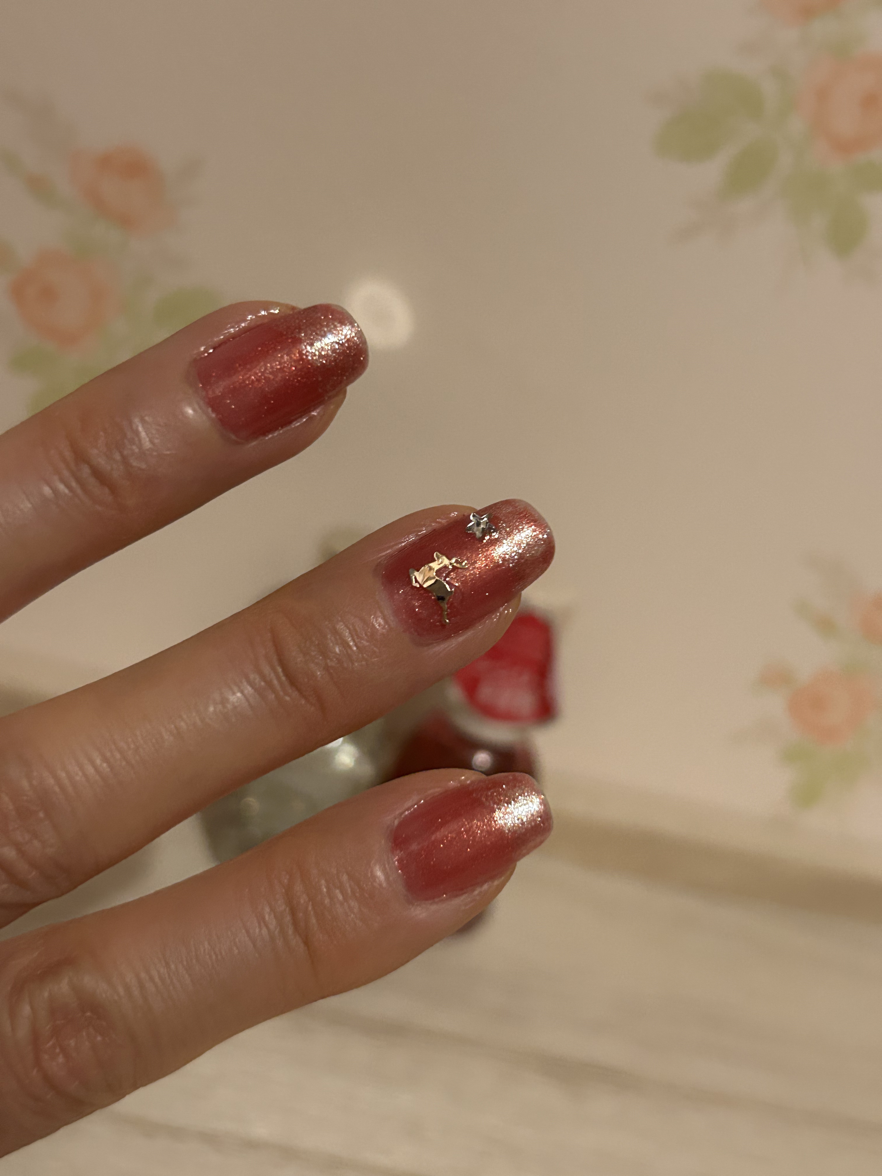 ナチュラルネイルカラーN/デュカート/マニキュアを使ったクチコミ（2枚目）