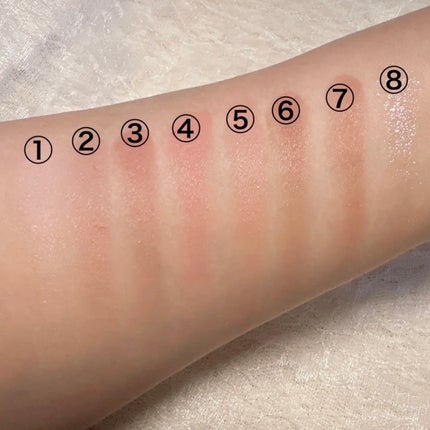 プティパレットアイズ(マットタイプ)/キャンメイク/パウダーアイシャドウを使ったクチコミ(3枚目)