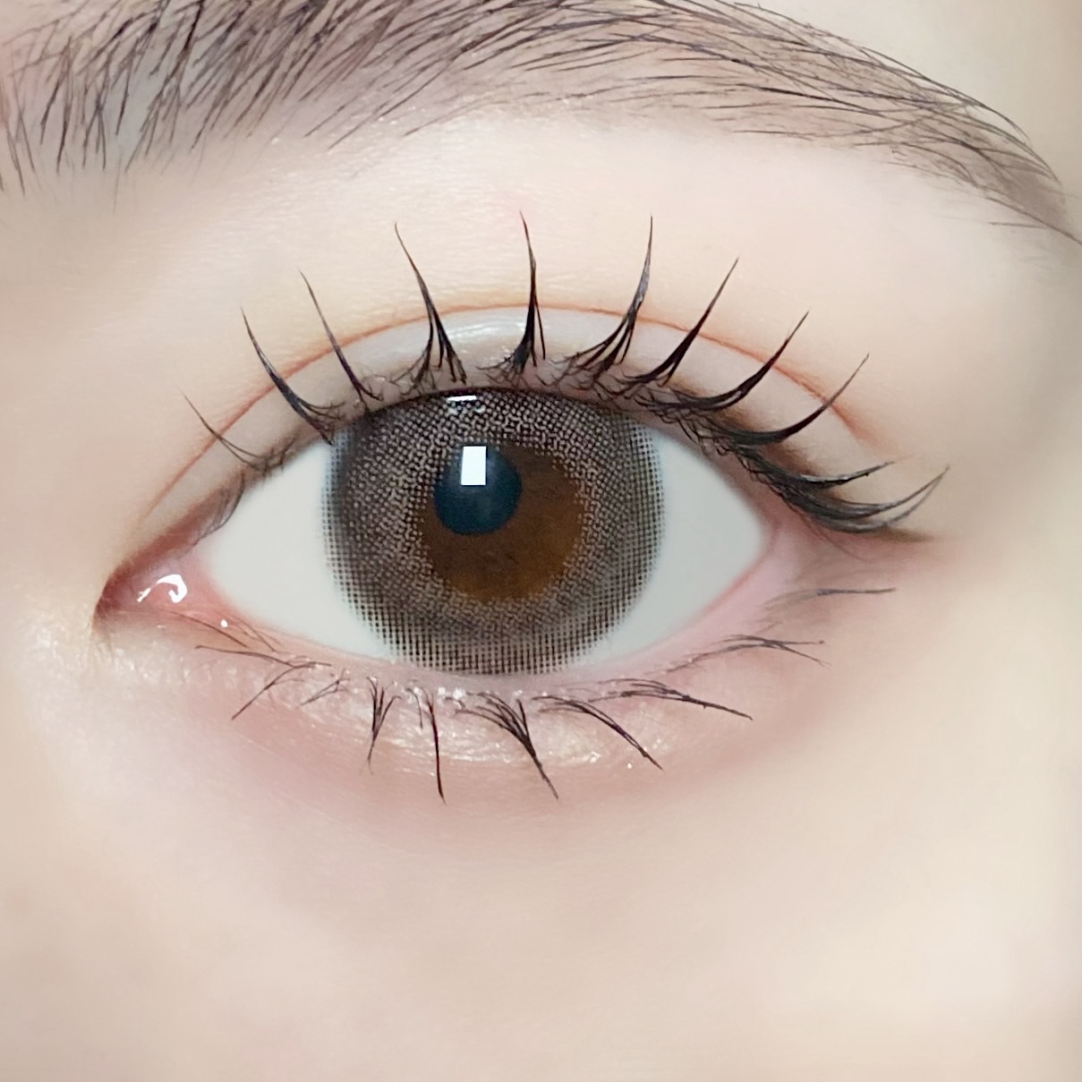 MOLAK 1day/MOLAK/ワンデー（１DAY）カラコンを使ったクチコミ（3枚目）