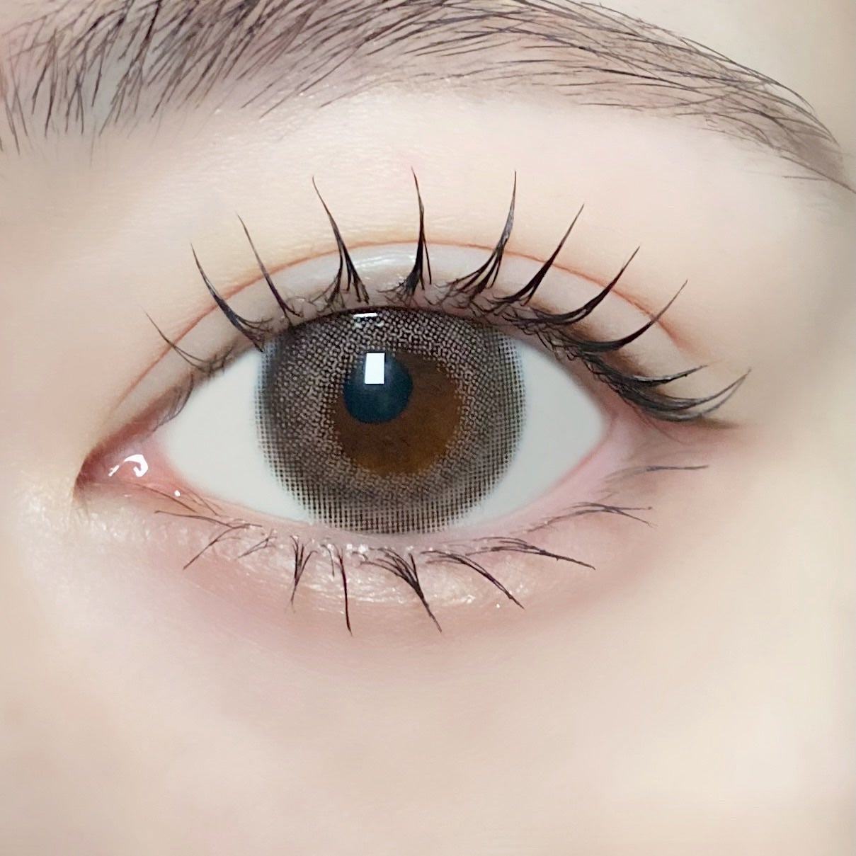 MOLAK 1day/MOLAK/ワンデー(1DAY)カラコンを使ったクチコミ(3枚目)