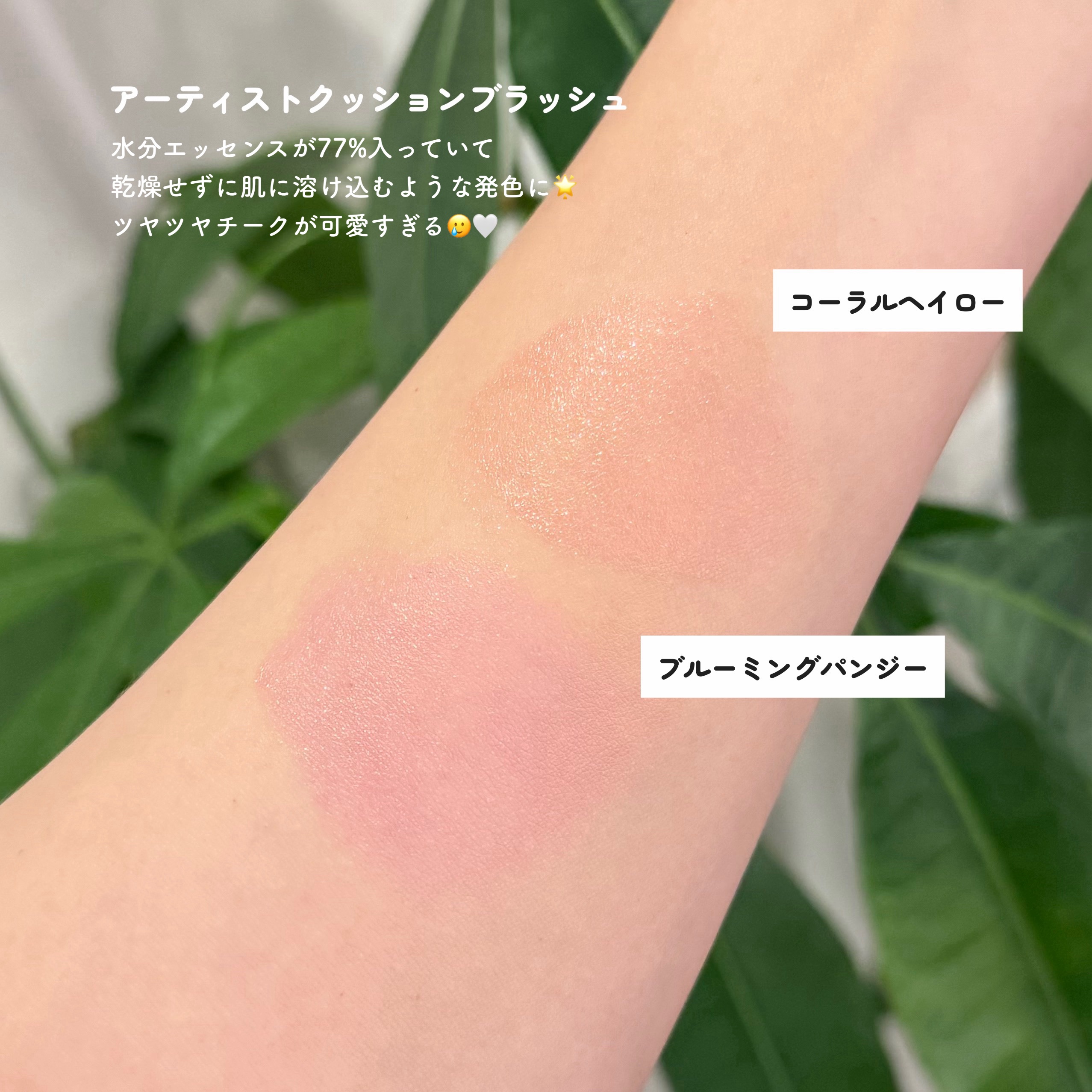 エッセンシャル スキン ヌーダー クッション/JUNG SAEM MOOL/クッションファンデーションを使ったクチコミ（3枚目）