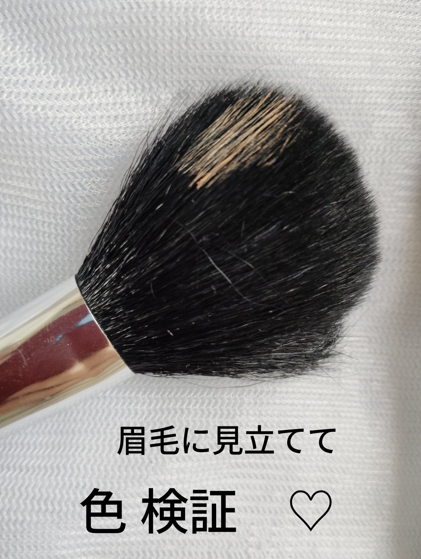 サナ ニューボーン カラーリングブロウマスカラ/サナ ニューボーン/マスカラを使ったクチコミ(2枚目)