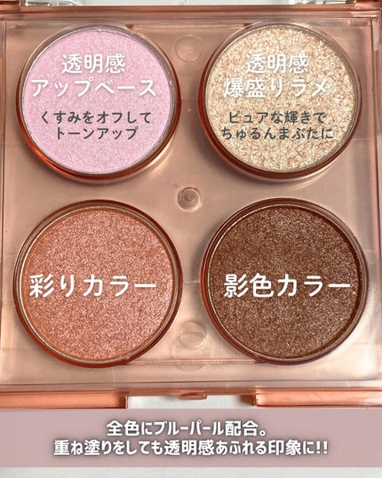 エテュセ カラーパレット スペシャル エディション/ettusais/アイシャドウパレットを使ったクチコミ(3枚目)