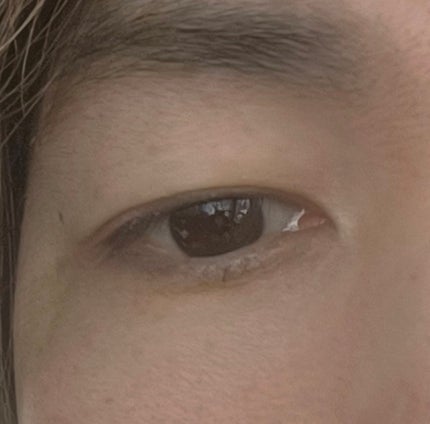 キャンメイク パーフェクトマルチアイズのクチコミ「初めてアイシャドウしてみたけど付いてるか分からない..」(1枚目)