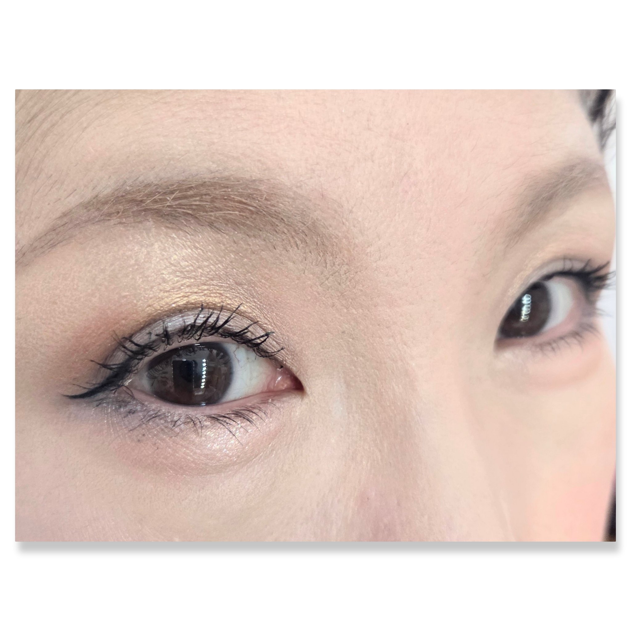 シャドーカスタマイズ/MAJOLICA MAJORCA/単色アイシャドウを使ったクチコミ（2枚目）