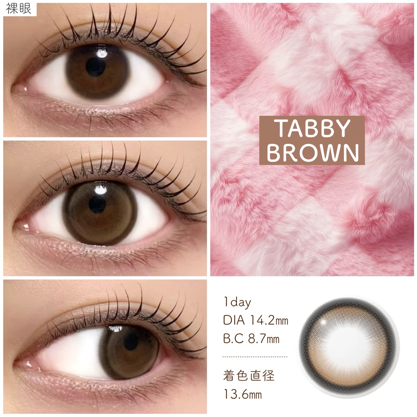 Cat-titude Kristin/Hapa kristin/ワンデー（１DAY）カラコンを使ったクチコミ（3枚目）