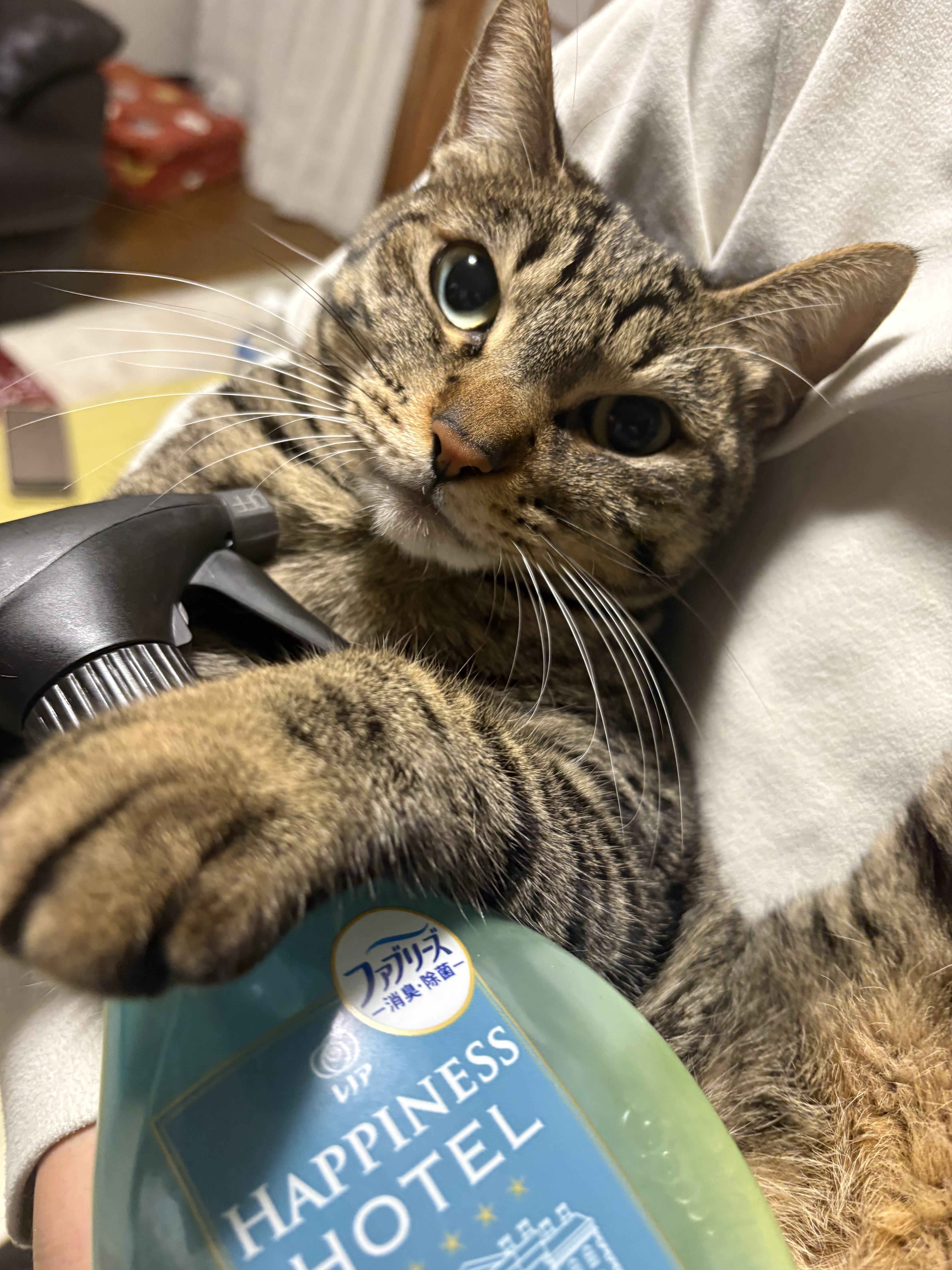 ハピネスミスト ホワイトティーの香り/レノア/ファブリックミストを使ったクチコミ（1枚目）