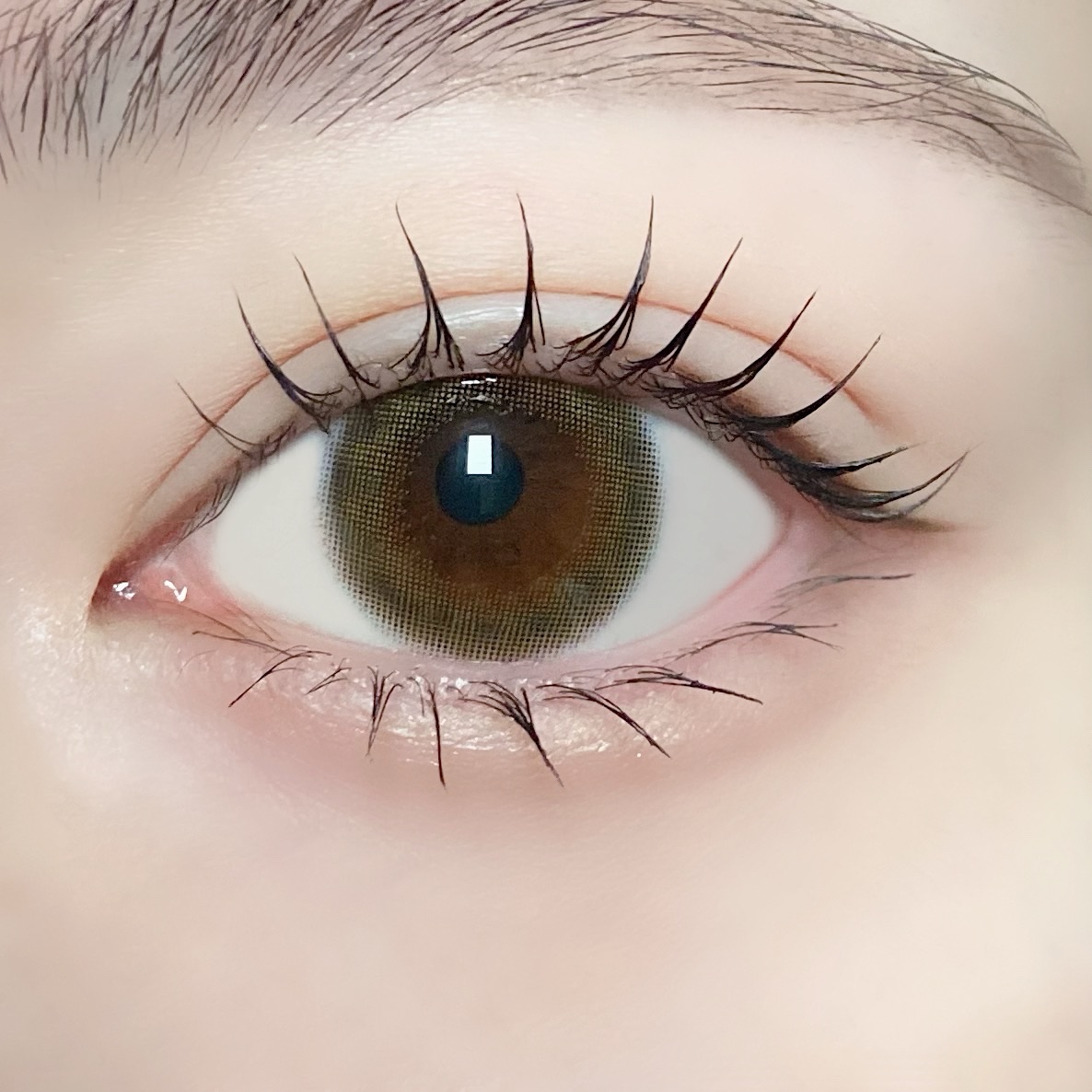 TOPARDS 1day/TOPARDS/ワンデー（１DAY）カラコンを使ったクチコミ（3枚目）