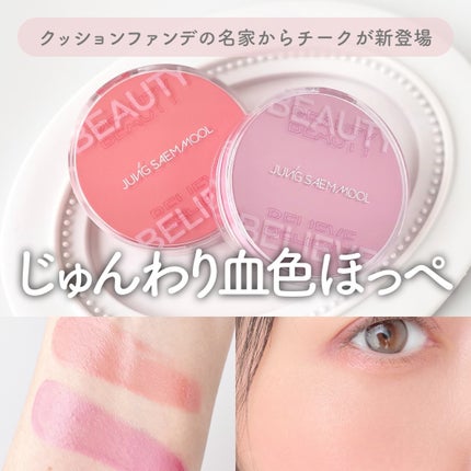 アーティストクッションブラッシュ/JUNG SAEM MOOL/リキッドチークを使ったクチコミ(1枚目)