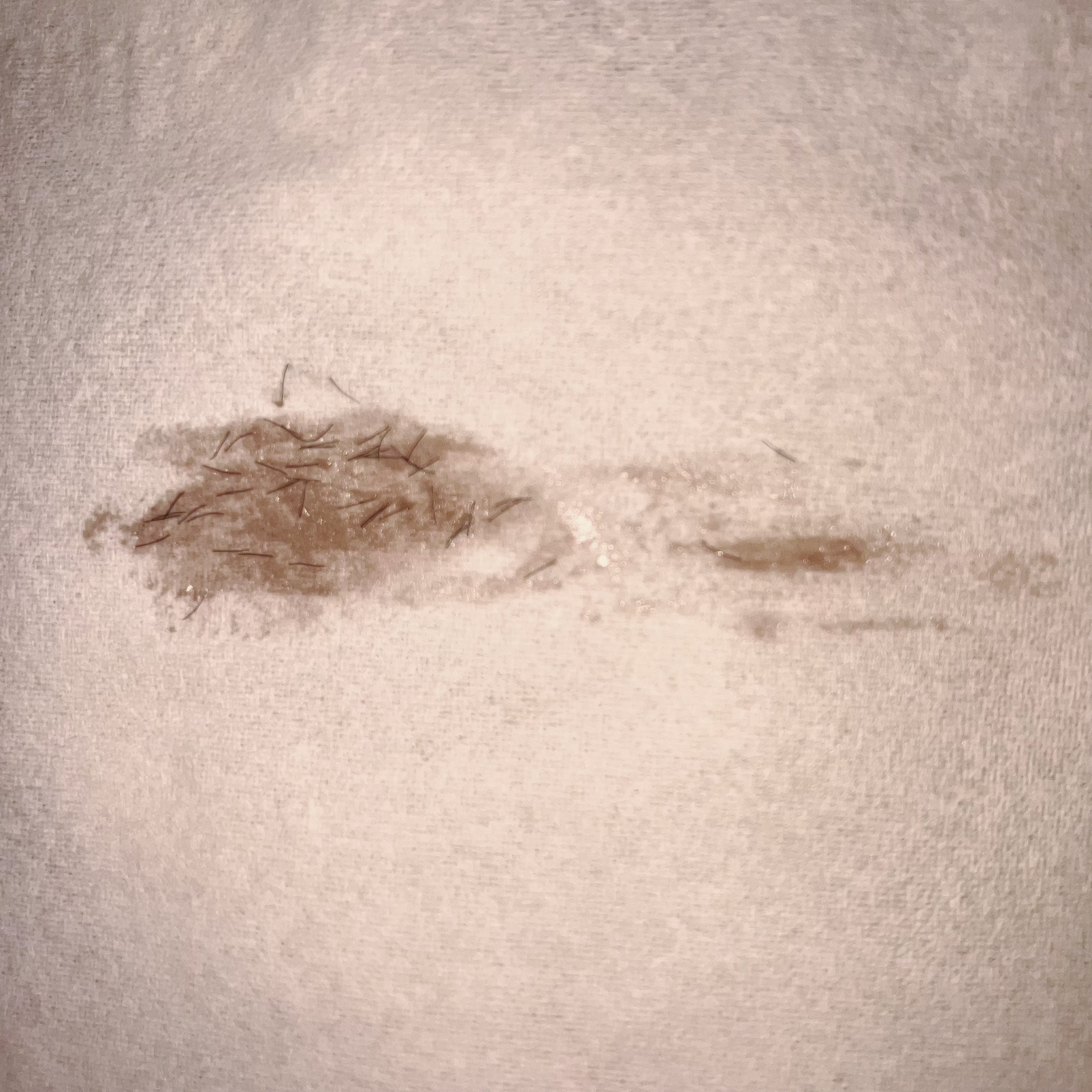 フェアリーカールマスカラ/upink/マスカラを使ったクチコミ（3枚目）