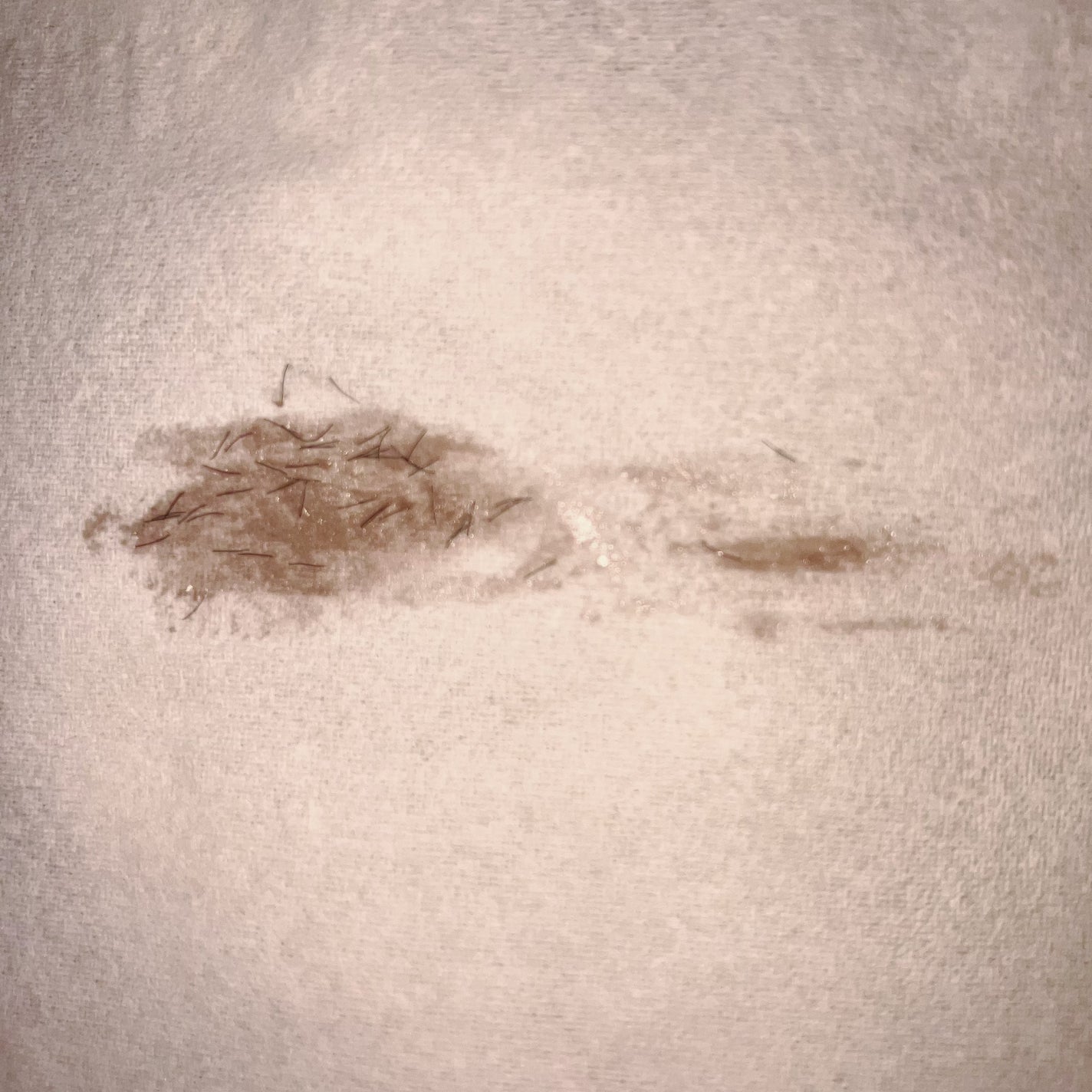 フェアリーカールマスカラ/upink/マスカラを使ったクチコミ(3枚目)