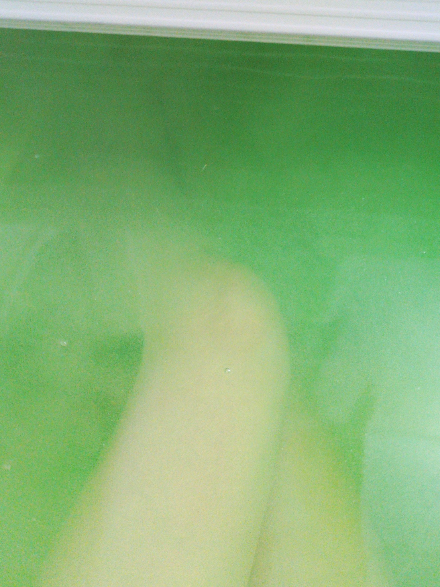 薬用入浴剤森の香り/woit/生薬系入浴剤を使ったクチコミ（3枚目）