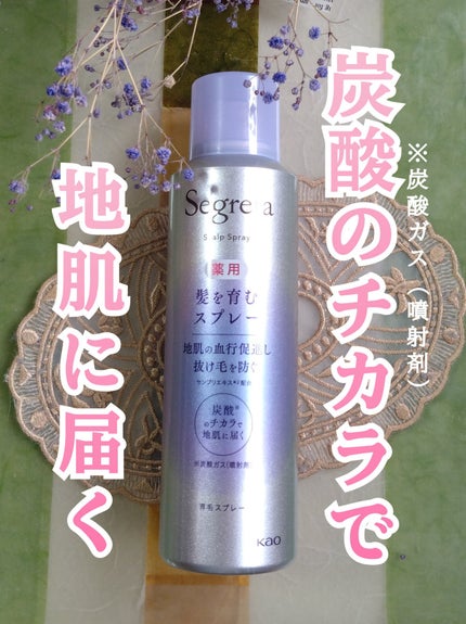 セグレタ髪を育むスプレー/セグレタ/頭皮ローションを使ったクチコミ(1枚目)