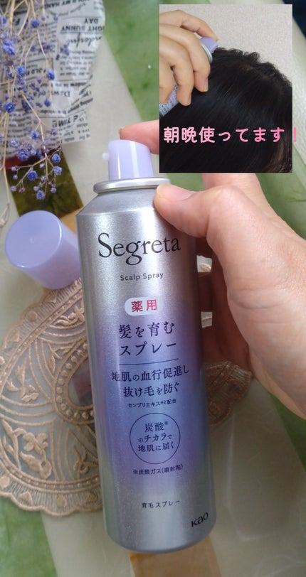 セグレタ髪を育むスプレー/セグレタ/頭皮ローションを使ったクチコミ(2枚目)