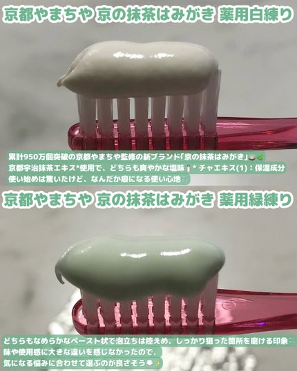 京の抹茶はみがき 薬用緑練り/京都やまちや/歯磨き粉を使ったクチコミ(4枚目)